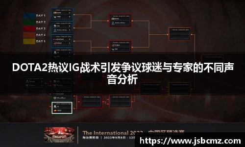 DOTA2热议IG战术引发争议球迷与专家的不同声音分析
