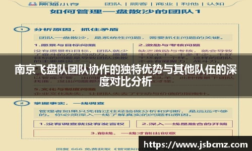 南京飞盘队团队协作的独特优势与其他队伍的深度对比分析